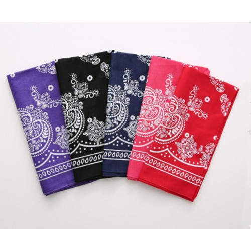 Paisley Bandana